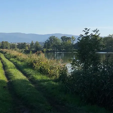 Kwatera Na śliwkowej Homestay *